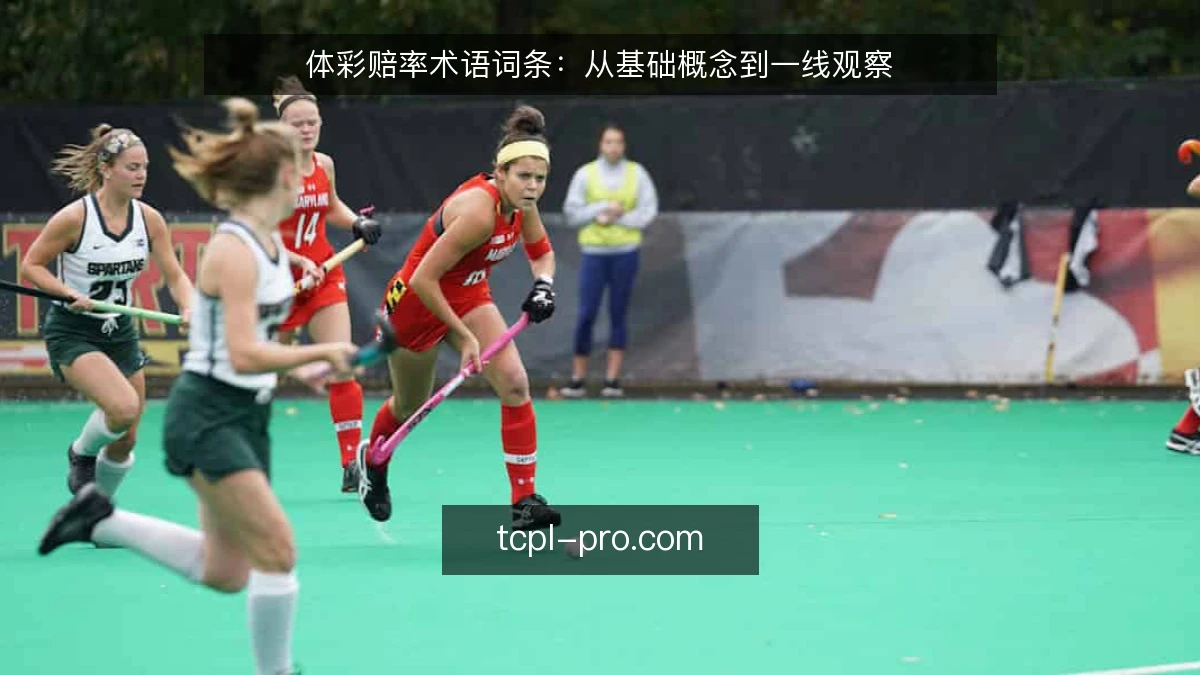 体彩赔率术语词条:从基础概念到一线观察