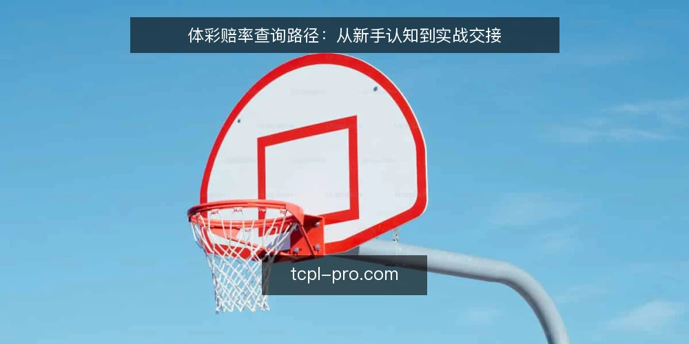 体彩赔率查询路径:从新手认知到实战交接 — 基线:明确体彩赔率的基本认知 配图