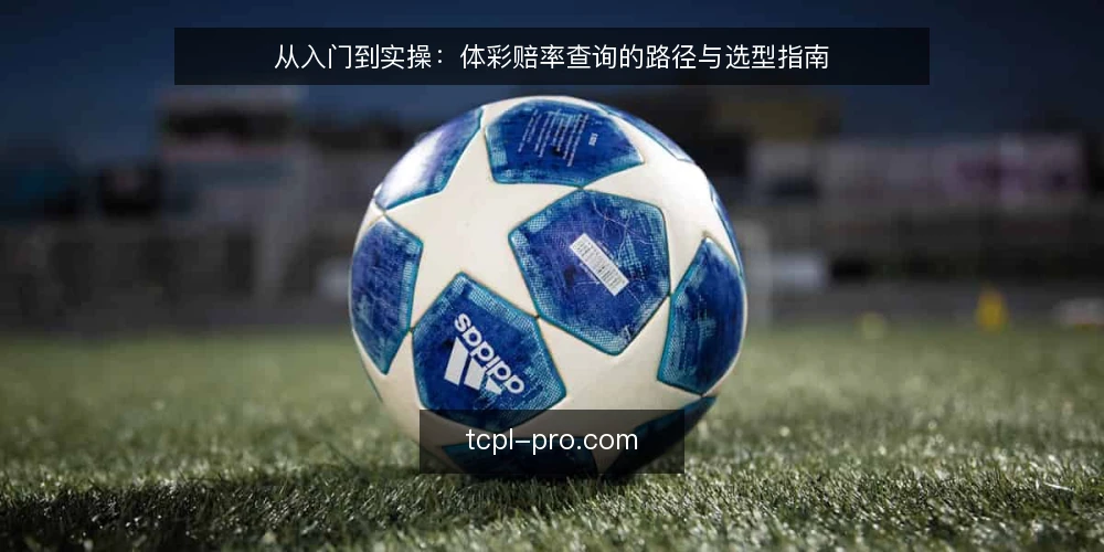 从入门到实操:体彩赔率查询的路径与选型指南 — 明确你的查询场景与决策标准 配图