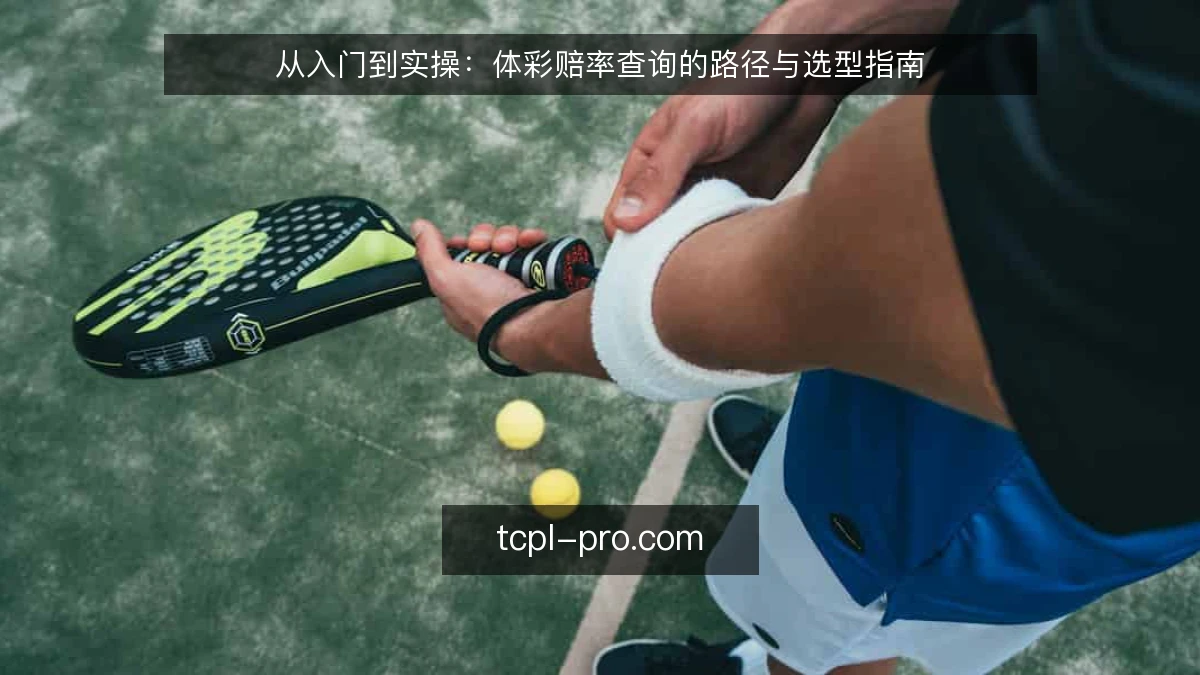 从入门到实操:体彩赔率查询的路径与选型指南