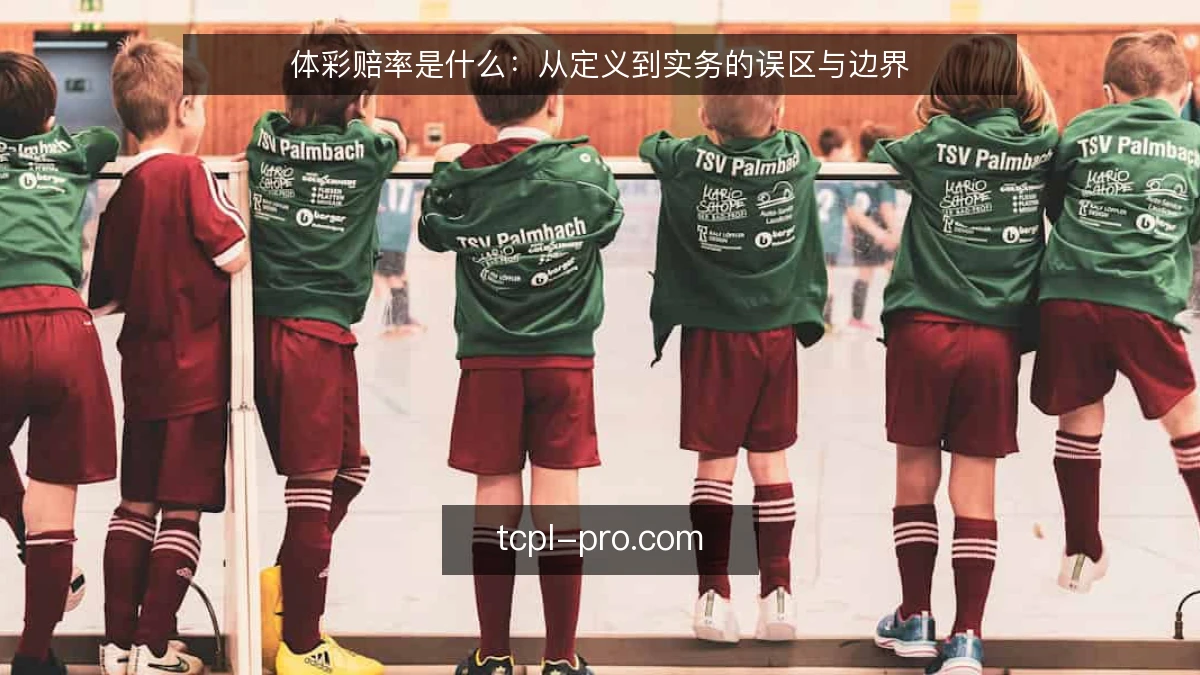 体彩赔率是什么：从定义到实务的误区与边界
