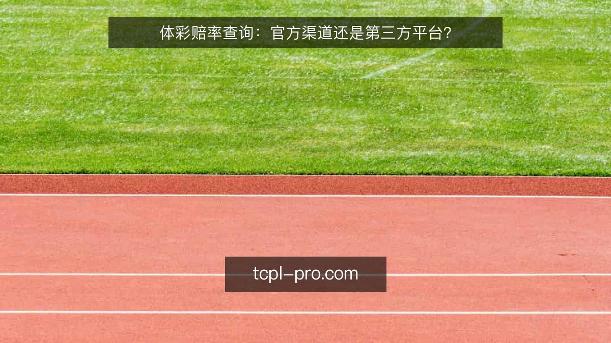 体彩赔率查询：官方渠道还是第三方平台？