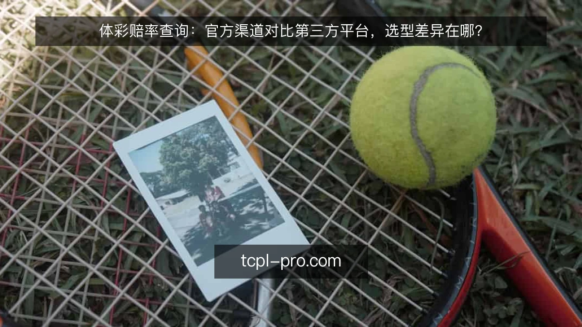 体彩赔率查询：官方渠道对比第三方平台，选型差异在哪？