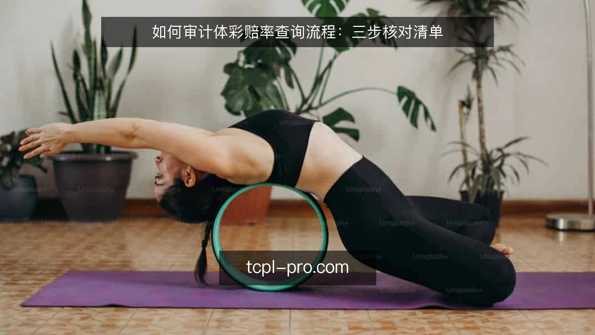 如何审计体彩赔率查询流程：三步核对清单