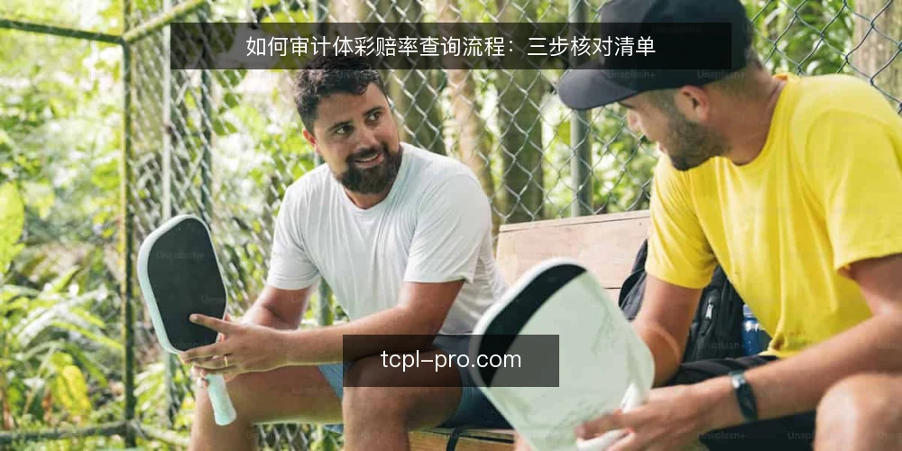 如何审计体彩赔率查询流程：三步核对清单 — 为什么现在要做一次赔率查询审计 配图