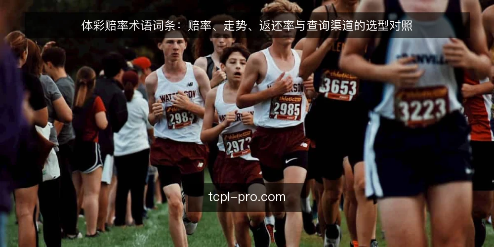 体彩赔率术语词条:赔率、走势、返还率与查询渠道的选型对照 — 先定判断标准:术语词条要看哪几个维度 配图