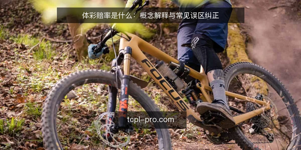体彩赔率是什么：概念解释与常见误区纠正 — 体彩赔率是什么：定义与基本原理 配图