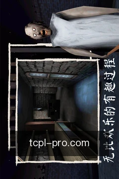 专家咨询