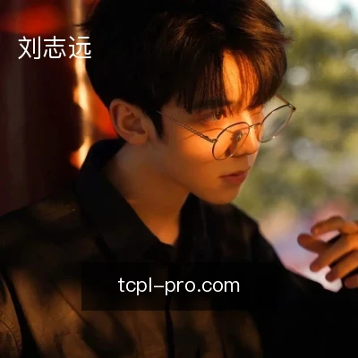 刘志远